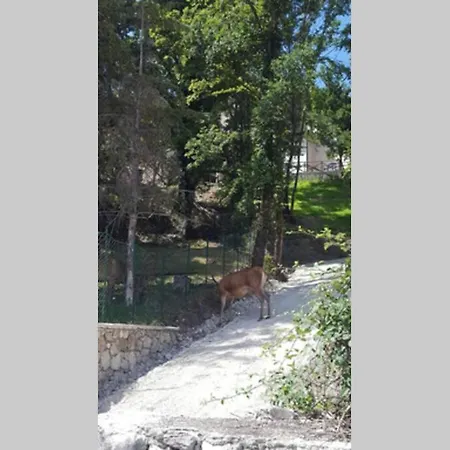 Διαμέρισμα Al Castello