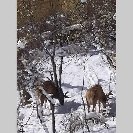 Al Castello Διαμέρισμα *