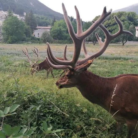 Διαμέρισμα Al Castello