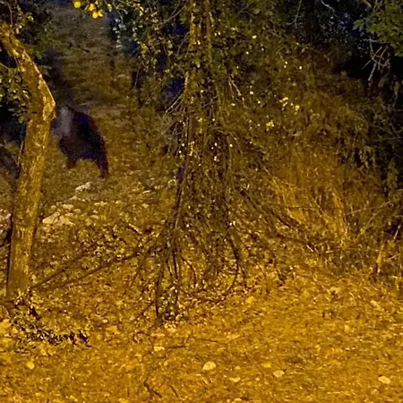 Al Castello * Villetta Barrea