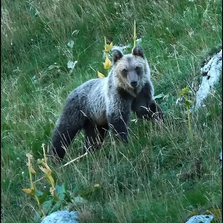 Διαμέρισμα Al Castello