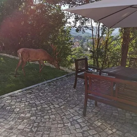 Al Castello Διαμέρισμα *