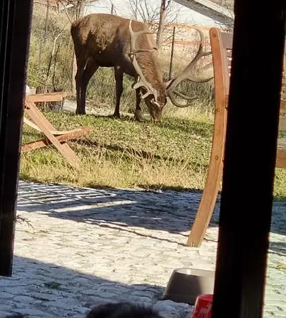 Al Castello Διαμέρισμα *