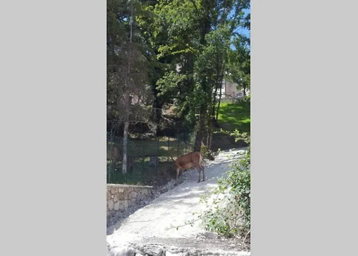 Apartamento Al Castello