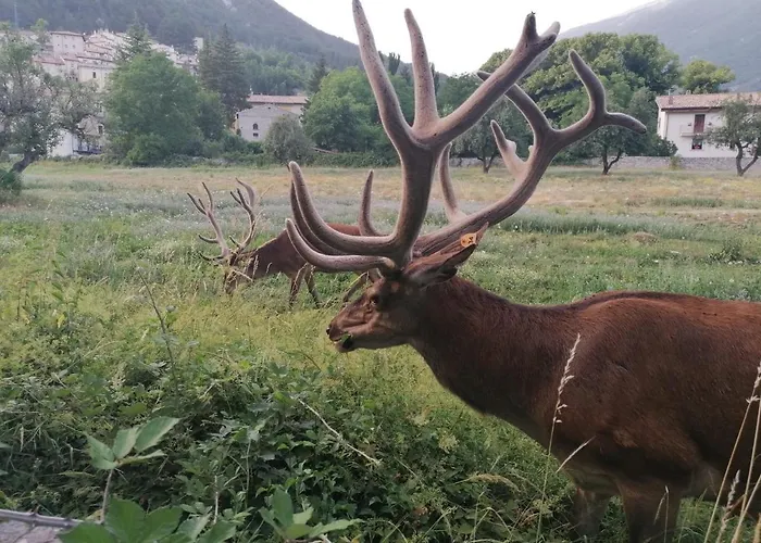 Apartamento Al Castello