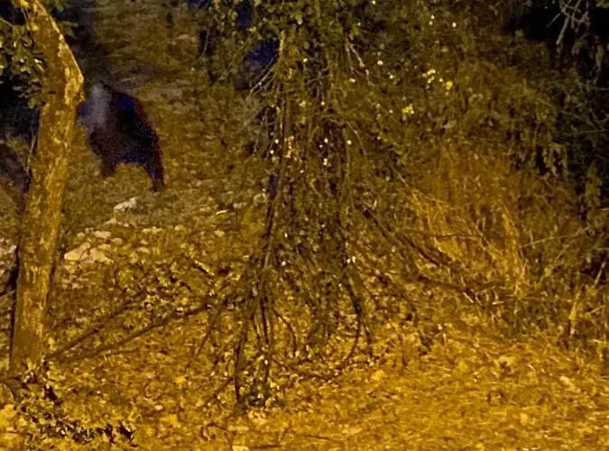 Al Castello * Villetta Barrea