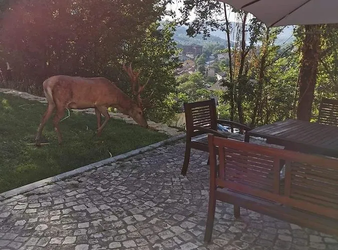 Al Castello Apartamento *