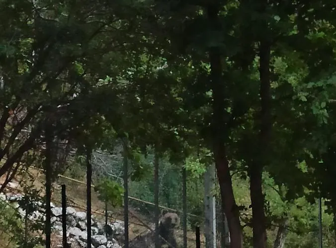 Al Castello Appartement