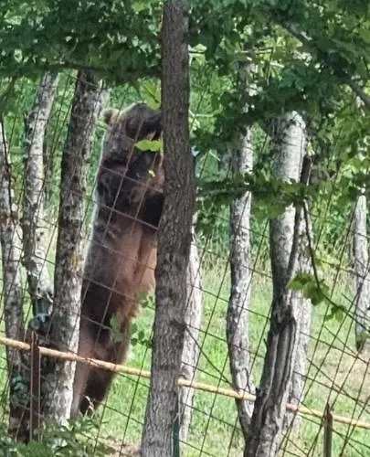 Apartamento Al Castello *