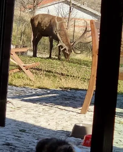 Al Castello Apartamento *